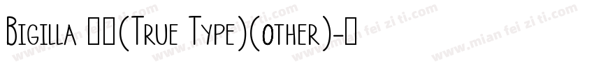 Bigilla 常规(True Type)(other)字体转换